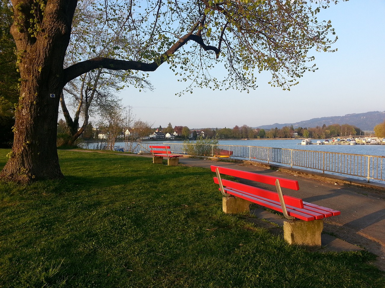 水平和对球 水平和对球