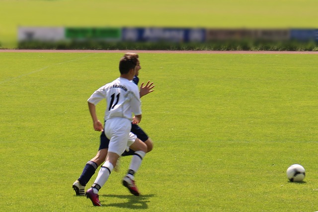 别多样性一 别多样性一