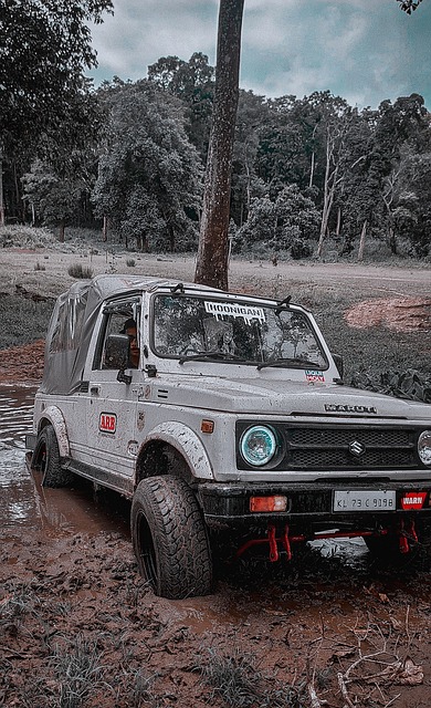 激情的运动 激情的运动