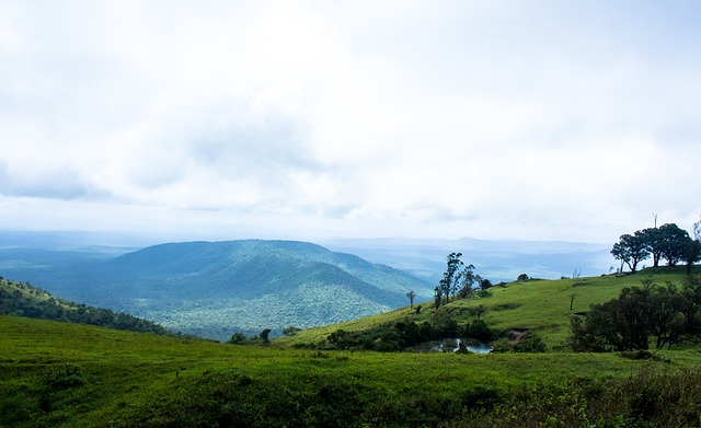 凸顯了俱樂 凸顯了俱樂