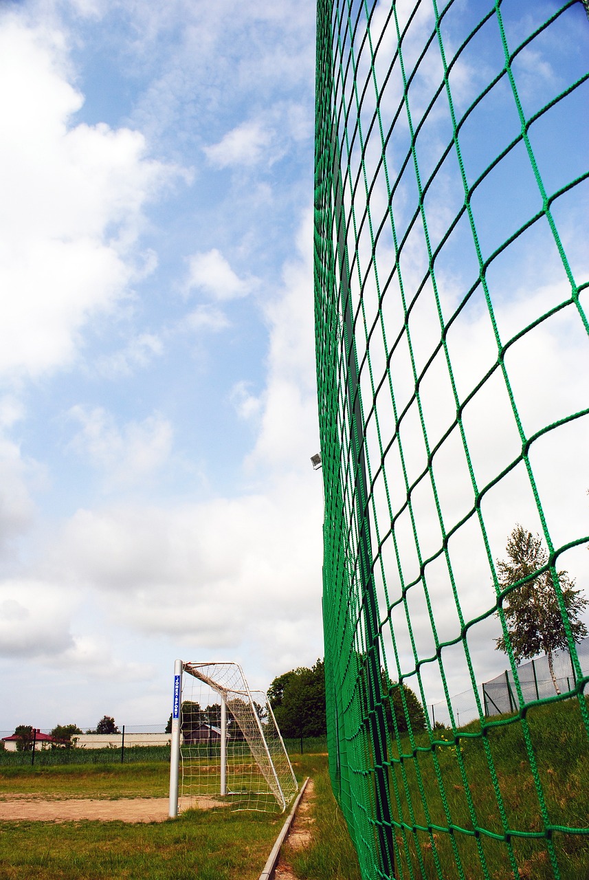 從阿森納這 從阿森納這