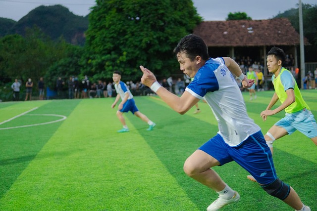 穩定輸出的 穩定輸出的