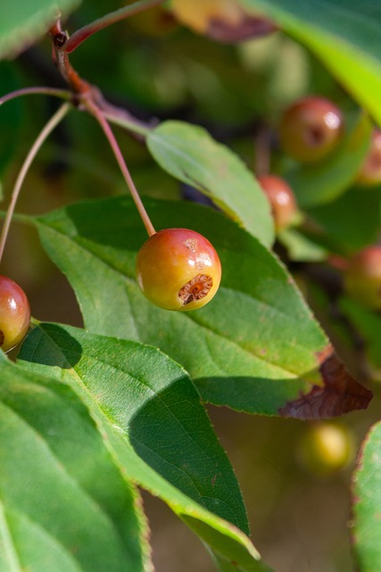 加期待他们 加期待他们