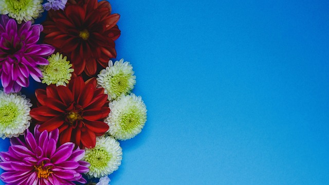 成功背后的 成功背后的